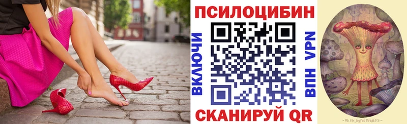 OMG сайт  Североморск  Псилоцибиновые грибы Psilocybe 