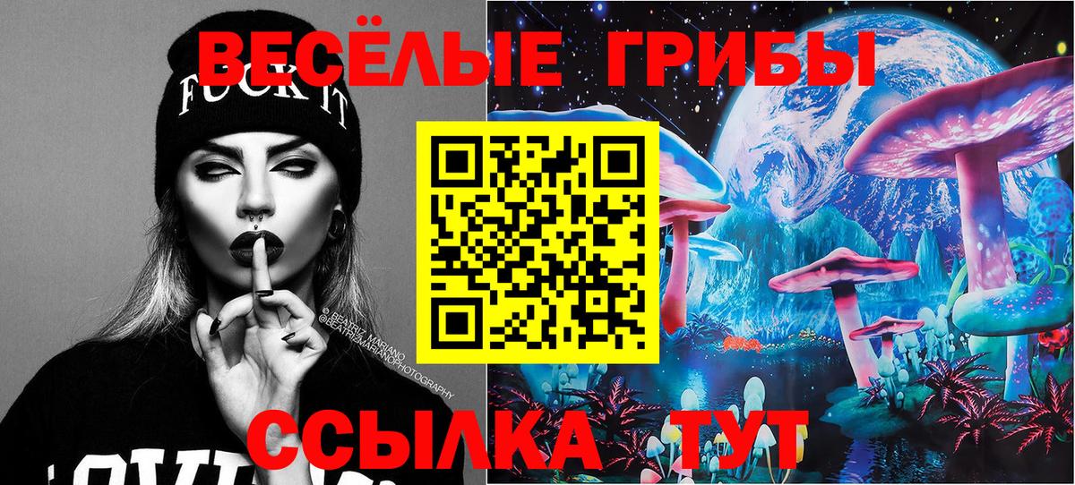 Псилоцибиновые грибы Cubensis Североморск