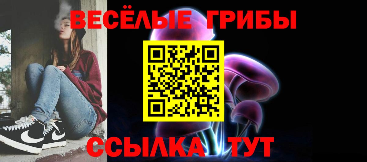 Галлюциногенные грибы мицелий  Североморск  Псилоцибиновые грибы прущие грибы 